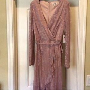 NWT Beautiful Kensie Shimmer Dress Size 12.